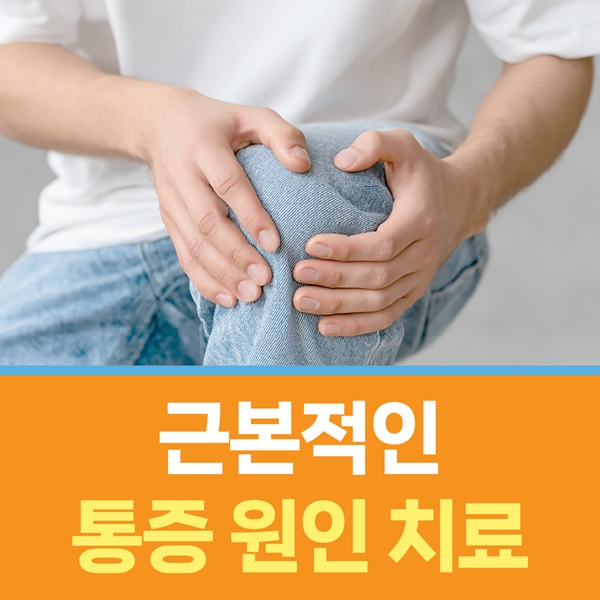 KakaoTalk_20260504_144451582_03.jpg